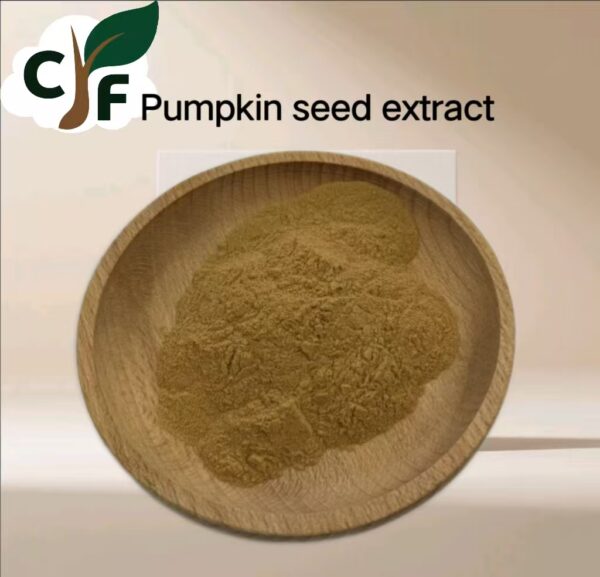Pumpkin seed extract 10：1 - Image 1