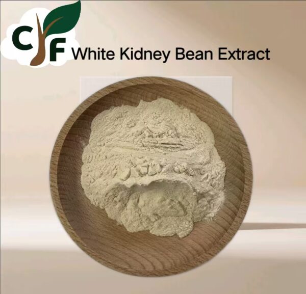 White Kidney Bean Extract 10：1 - Image 1