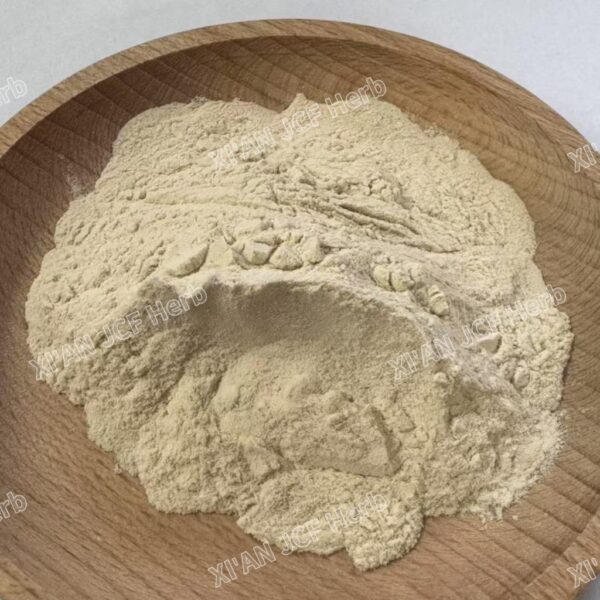 White Kidney Bean Extract 10：1 - Image 3