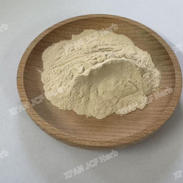 White Kidney Bean Extract 10：1 - Image 4