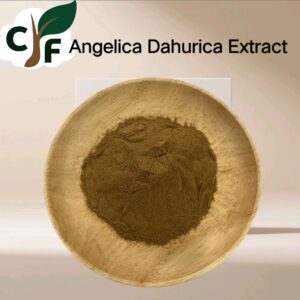 Angelica Dahurica Extract