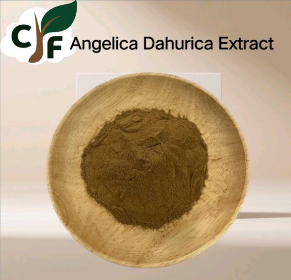 Angelica Dahurica Extract - Image 1