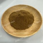 Angelica Dahurica Extract - Image 3