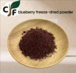 Blueberry Freeze-Dried Powder