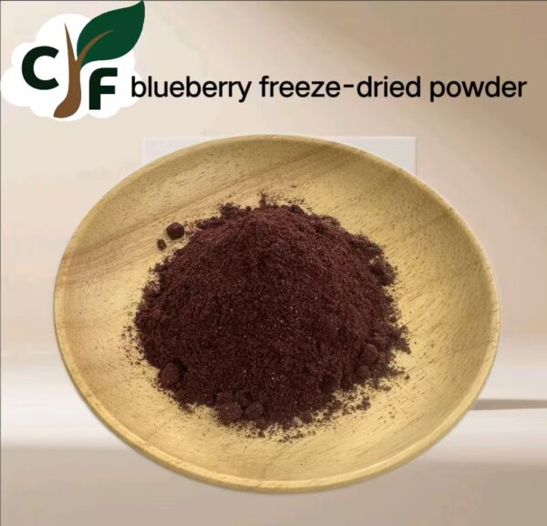 Blueberry Freeze-Dried Powder - Image 1