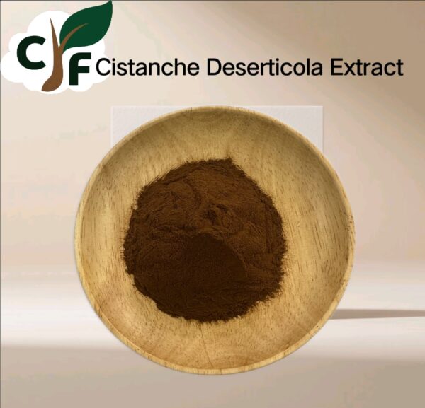 Cistanche Deserticola Extract - Image 1