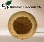 Dandelion Flavonoids 5%