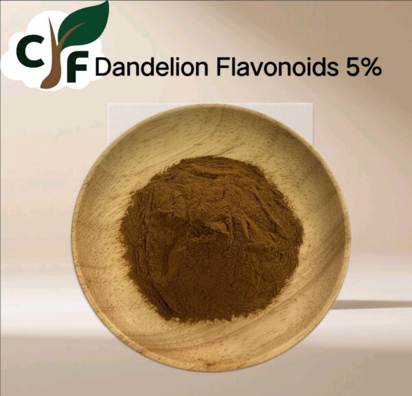 Dandelion Flavonoids 5% - Image 1