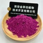 Dragon Fruit Freeze - Dried Powder - Изображение 2