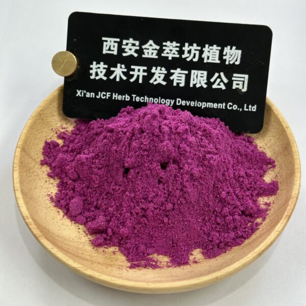 Dragon Fruit Freeze - Dried Powder - 画像2