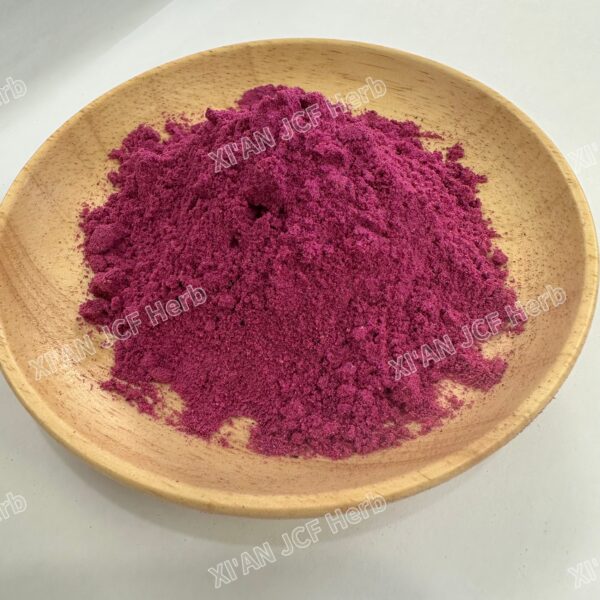 Dragon Fruit Freeze - Dried Powder - 画像3