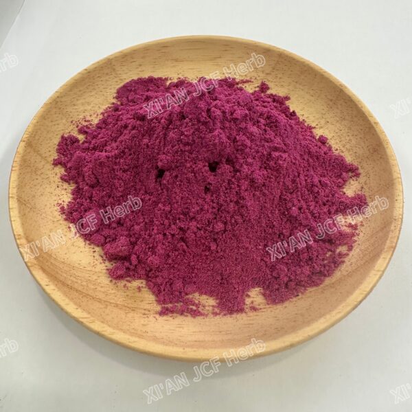 Dragon Fruit Freeze - Dried Powder - 画像4