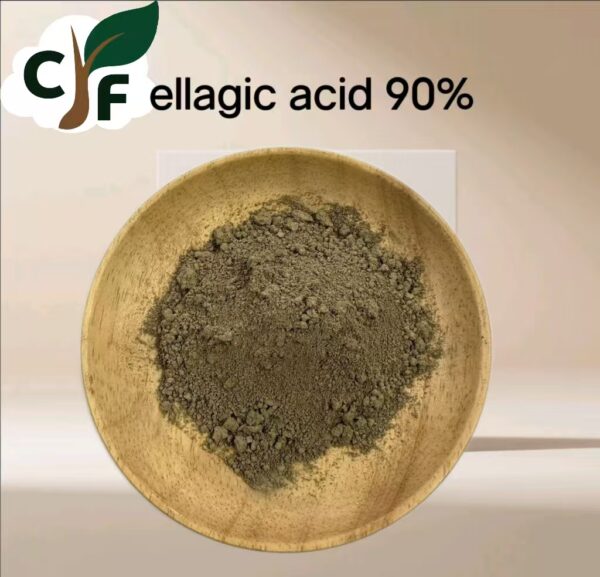 Ellagic Acid 90% - 画像1