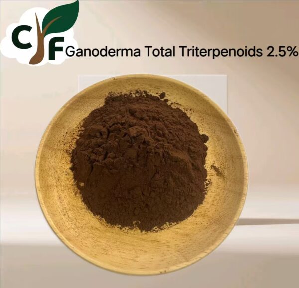 Ganoderma Total Triterpenes 2.5% - Image 1