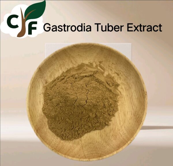Gastrodia Tuber Extract - Image 1