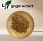 Ginger Extract