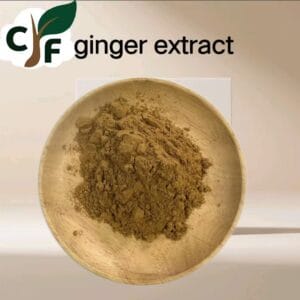 Ginger Extract