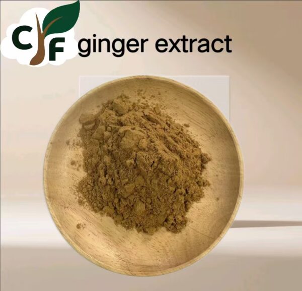 Ginger Extract - Image 1