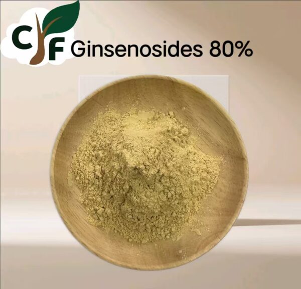 Ginsenosides 80% - 画像1