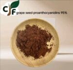 Grape Seed Proanthocyanidins 95%