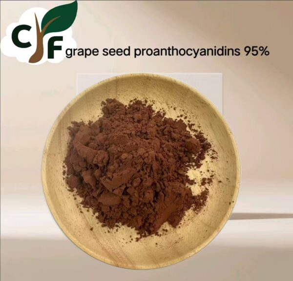 Grape Seed Proanthocyanidins 95% - Image 1