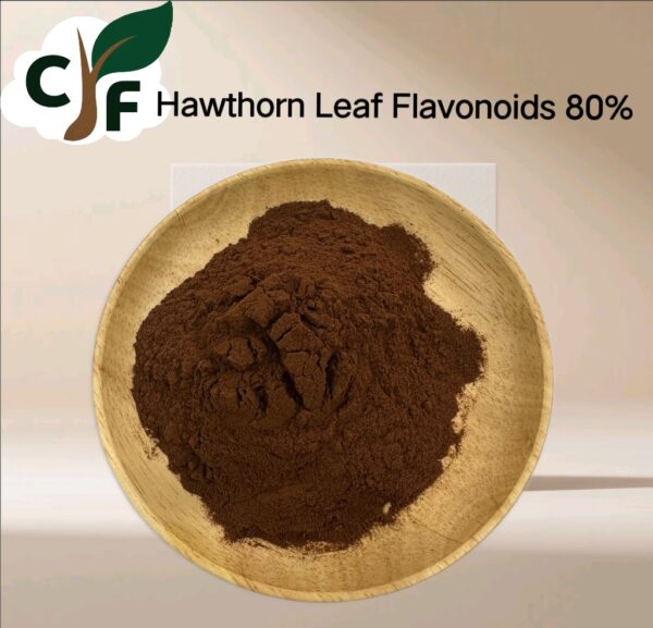 Hawthorn Leaf Flavonoids 80% - 画像1
