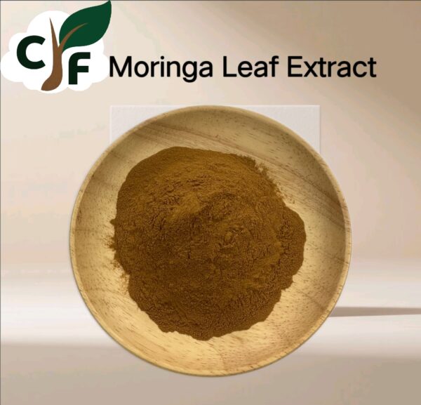 Moringa Leaf Extract - Image 1