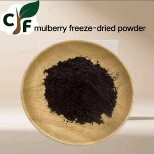 Mulberry Freeze-Dried Powder