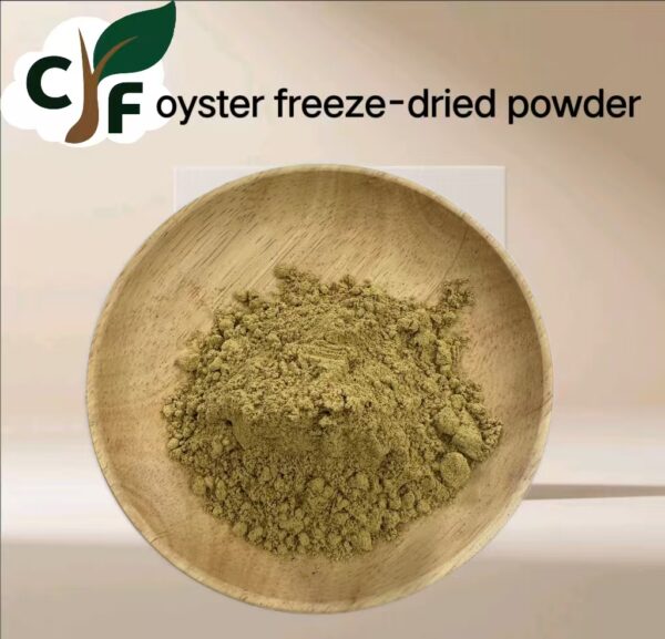 Oyster Freeze-Dried Powder - 画像1