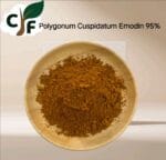 Polygonum Cuspidatum Emodin 95%