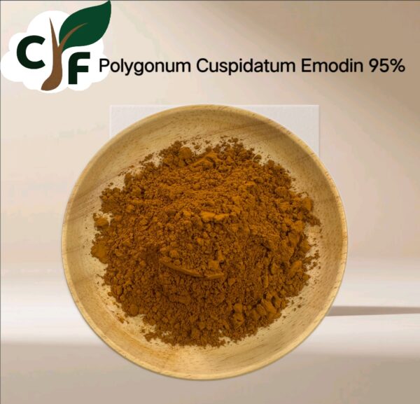 Polygonum Cuspidatum Emodin 95% - Image 1