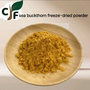 Seabuckthorn Freeze-Dried Powder