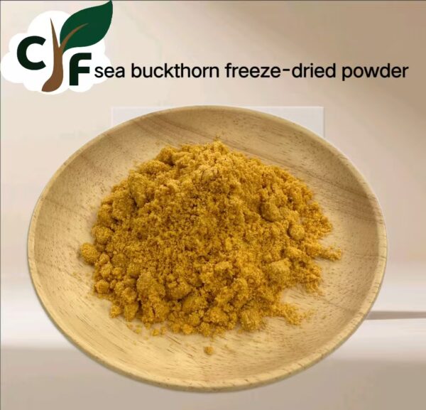 Seabuckthorn Freeze-Dried Powder - 画像1