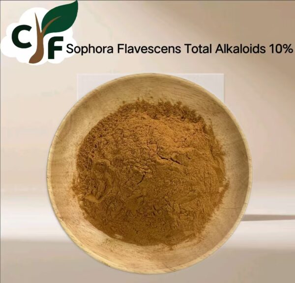 Sophora flavescens Total Alkaloids 10% - 画像1