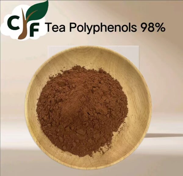Tea Polyphenols 98% - Bild 1