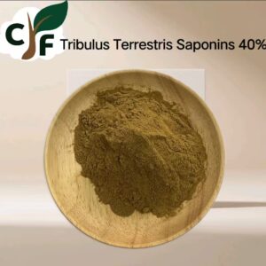 Tribulus Terrestris Saponins 40%