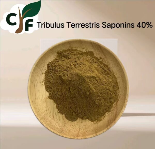 Tribulus Terrestris Saponins 40% - Bild 1
