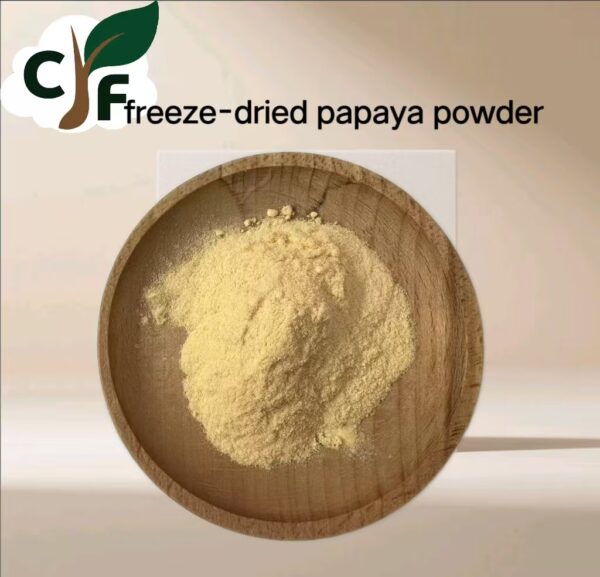 freeze-dried papaya powder - 画像1