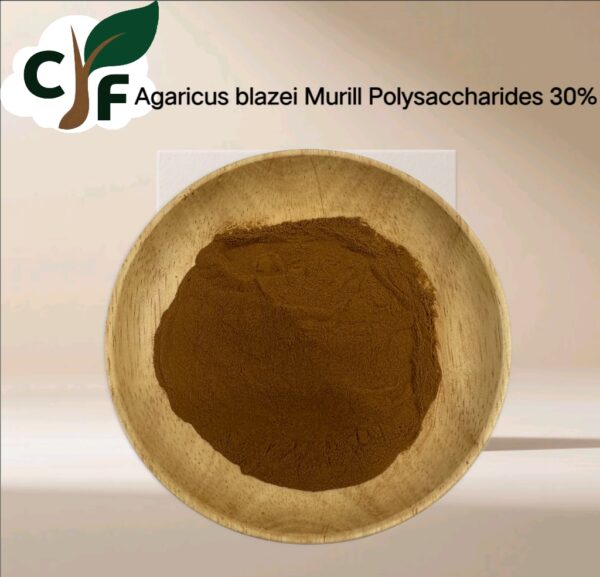 Agaricus blazei Murill Polysaccharides 30% - Image 1