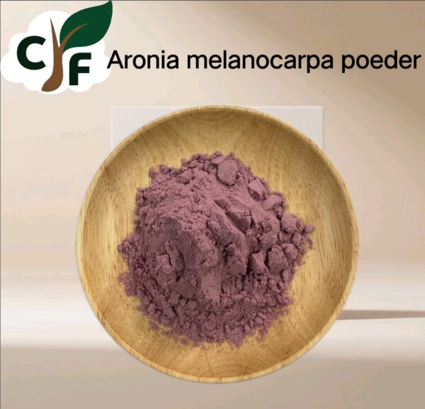 Aronia melanocarpa Fruit Powder - Image 1