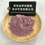 Aronia melanocarpa Fruit Powder - Image 2
