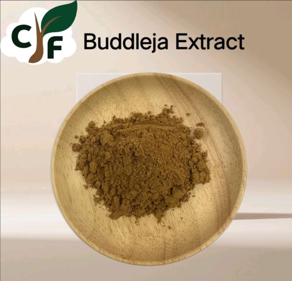 Buddleja Extract - Image 1
