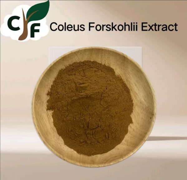 Coleus Forskohlii Extract - Image 1