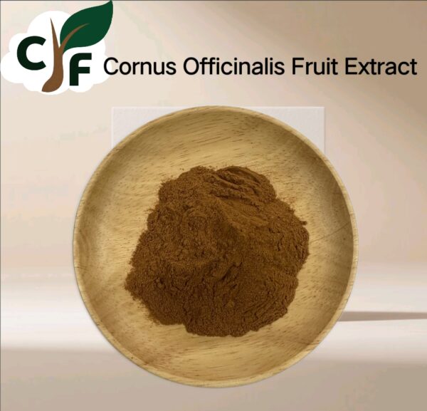 Cornus Officinalis Fruit Extract - Image 1