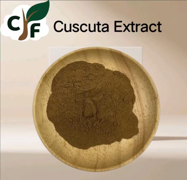 cusuta extract - Image 1