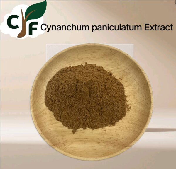 Cynanchum Paniculatum Extract - Image 1
