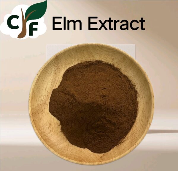 Elm Extract - Image 1