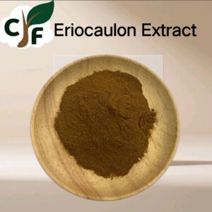 Eriocaulon Extract