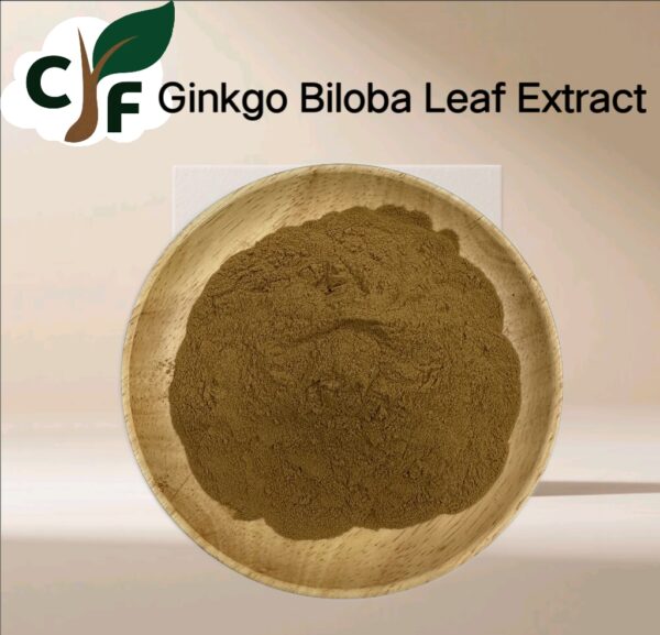 Ginkgo Biloba Leaf Extract - Image 1