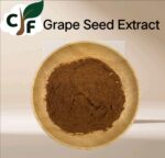 Grape Seed Extract